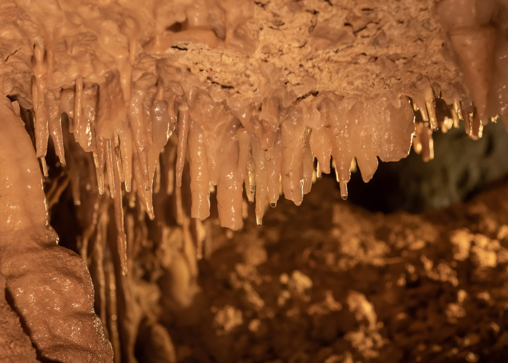 visiter villeneuve sur lot : la grotte de lastournelle