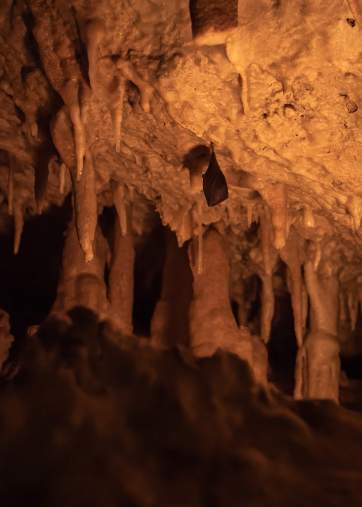 visiter villeneuve sur lot : la grotte de lastournelle