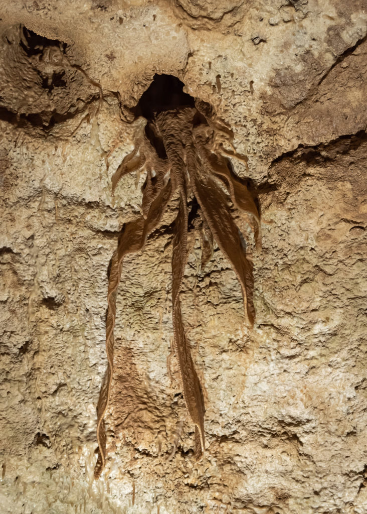 visiter villeneuve sur lot : la grotte de lastournelle