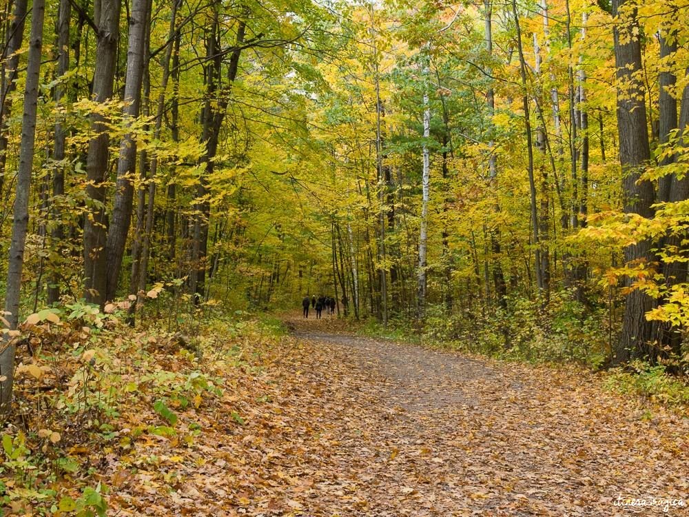 Où voir les couleurs d'automne, en Europe, au Japon, au Québec et ailleurs ? Les plus belles couleurs de l'automne par les blogueurs de voyage, pour des voyages chatoyants. #automne 