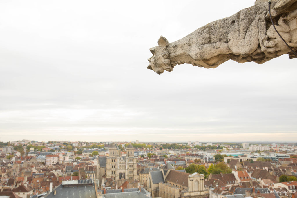 Visiter Dijon, la capitale de la Bourgogne. Mes incontournables à Dijon pour un week-end parfait à Dijon.