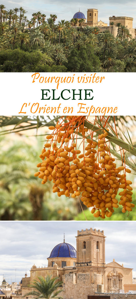 Visiter Elche, ou l'Orient en Espagne : la plus grande palmeraie d'Europe, une ville étonnante et superbe. #elche #alicante #espagne 