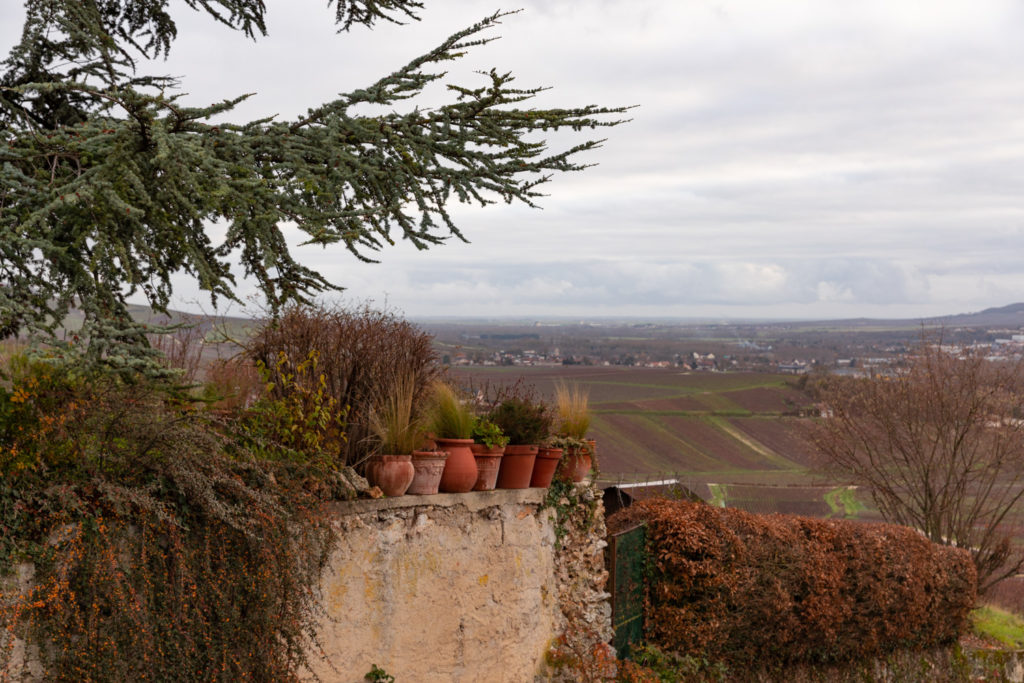 Visiter la Champagne entre automne et Noël : l'allée du champagne à Epernay, les maisons de champagne, Hautvillers, le marché de Noël de Reims, bonnes adresses à Reims...