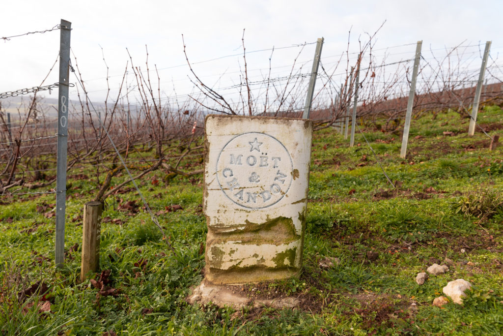 Visiter la Champagne entre automne et Noël : l'allée du champagne à Epernay, les maisons de champagne, Hautvillers, le marché de Noël de Reims, bonnes adresses à Reims...