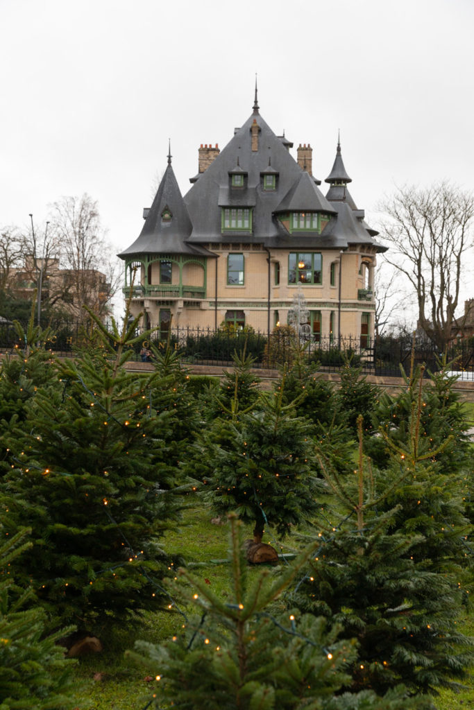 Visiter la Champagne entre automne et Noël : l'allée du champagne à Epernay, les maisons de champagne, Hautvillers, le marché de Noël de Reims, bonnes adresses à Reims...