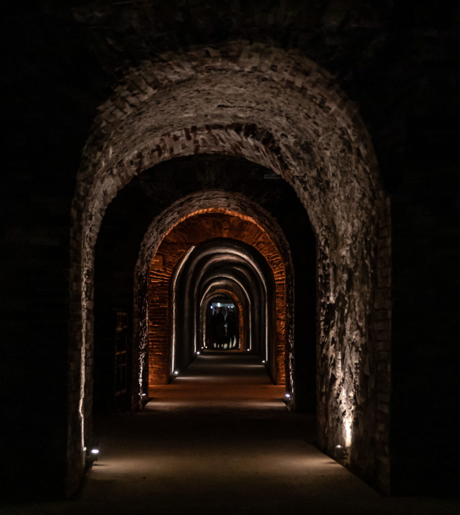 Visiter la Champagne entre automne et Noël : l'allée du champagne à Epernay, les maisons de champagne, Hautvillers, le marché de Noël de Reims, bonnes adresses à Reims...