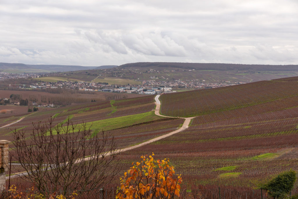 Visiter la Champagne entre automne et Noël : l'allée du champagne à Epernay, les maisons de champagne, Hautvillers, le marché de Noël de Reims, bonnes adresses à Reims...