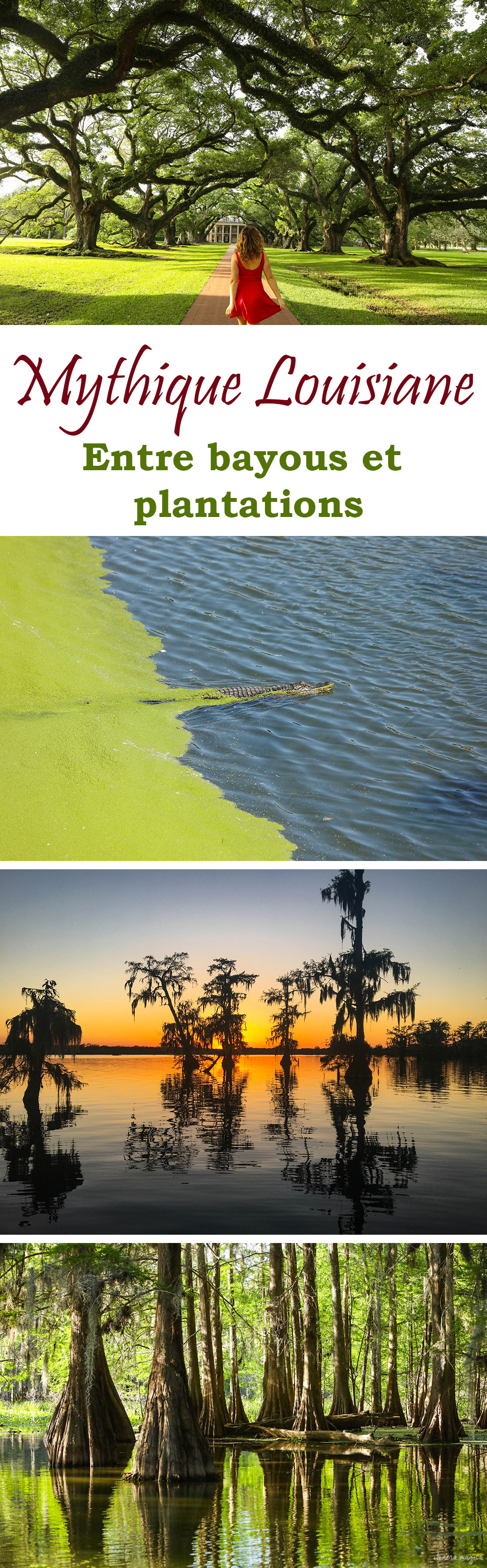 Ploingez au coeur des bayous de Louisiane, entre plantations, alligators et swamp tours mystiques. #louisiane #usa