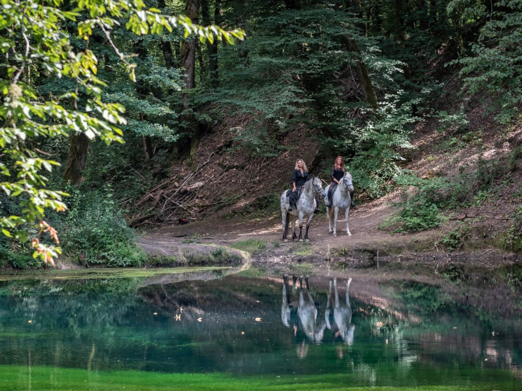 La source du Planey, site sublime dans les Vosges du Sud