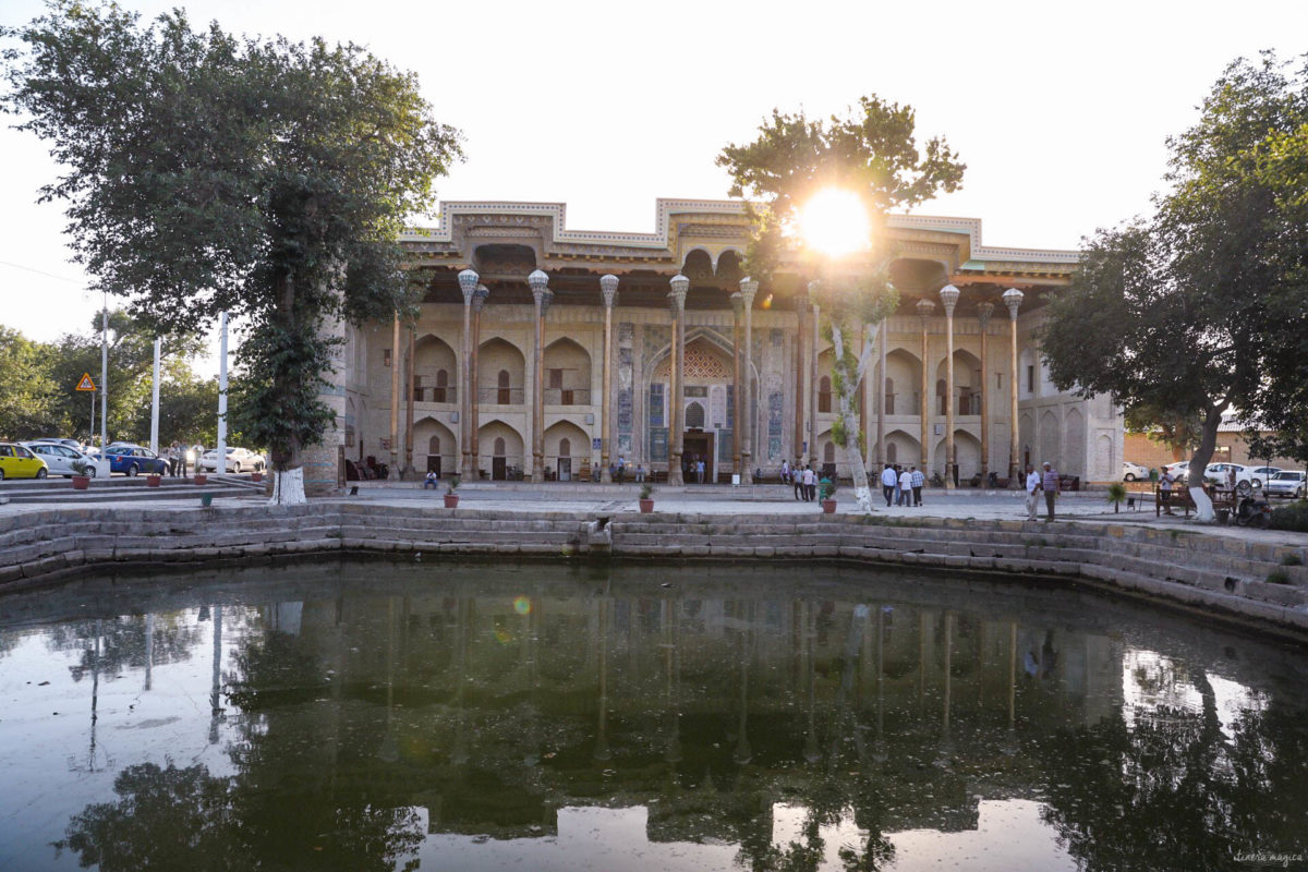 Partons pour un grand voyage en Ouzbékistan. De Samarcande à Boukhara en passant par la steppe, voici un itinéraire de rêve pour découvrir les incontournables d'Ouzbékistan.