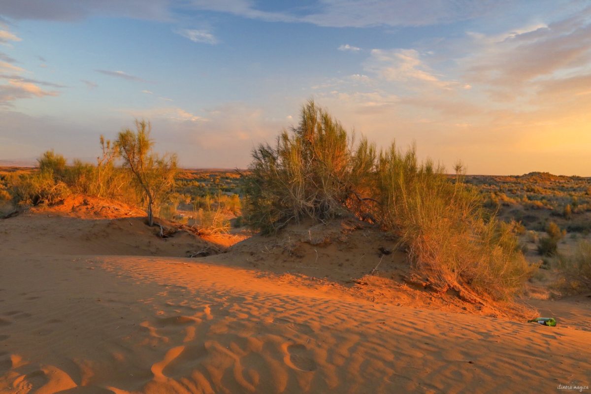 Partons pour un grand voyage en Ouzbékistan. De Samarcande à Boukhara en passant par la steppe, voici un itinéraire de rêve pour découvrir les incontournables d'Ouzbékistan.