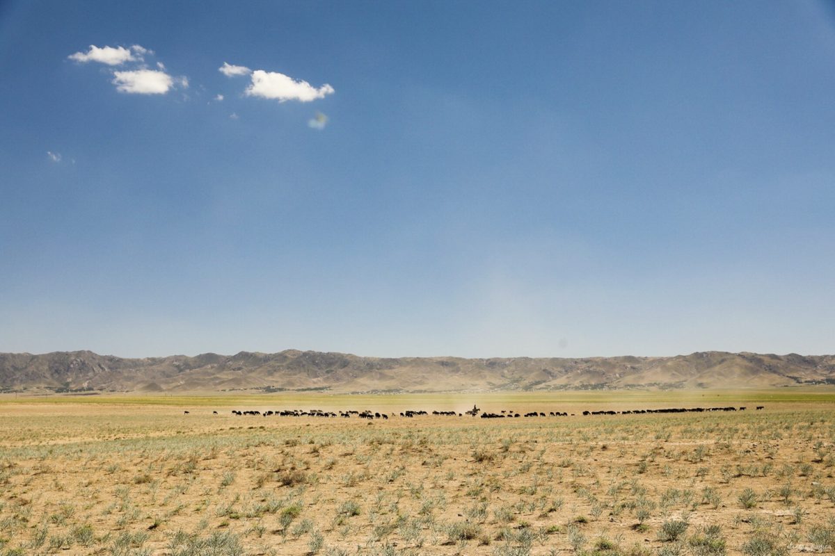 Partons pour un grand voyage en Ouzbékistan. De Samarcande à Boukhara en passant par la steppe, voici un itinéraire de rêve pour découvrir les incontournables d'Ouzbékistan.