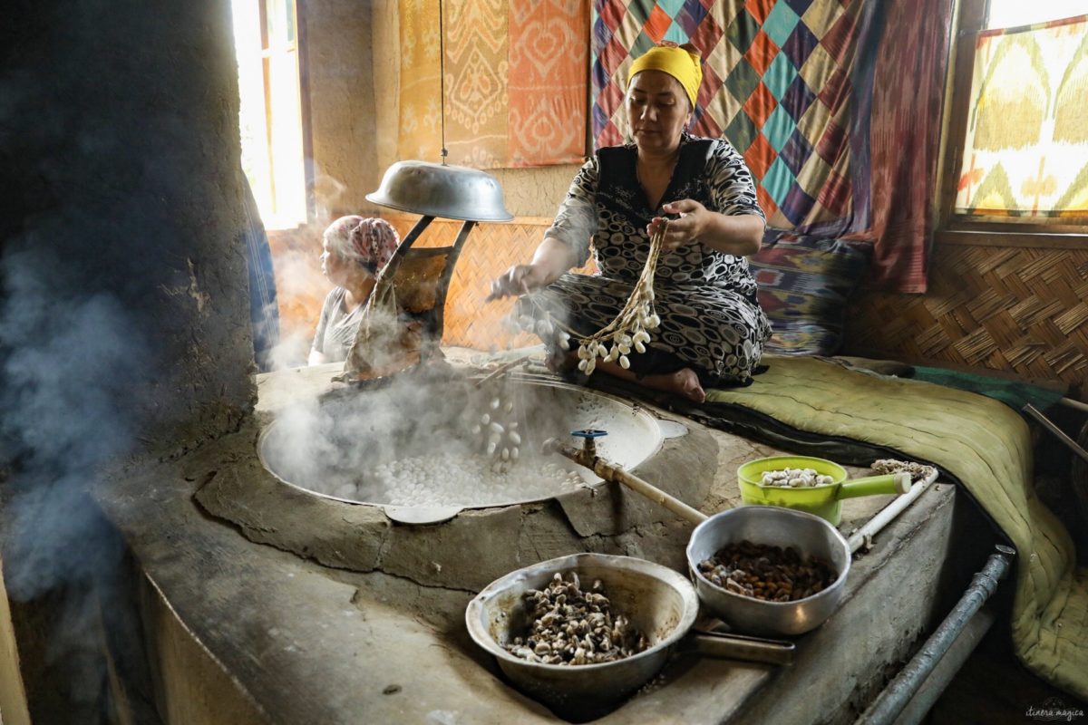 Partons pour un grand voyage en Ouzbékistan. De Samarcande à Boukhara en passant par la steppe, voici un itinéraire de rêve pour découvrir les incontournables d'Ouzbékistan.