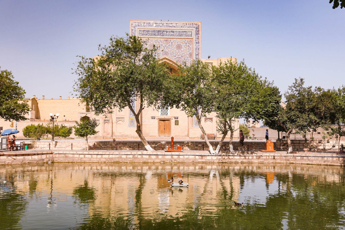 Partons pour un grand voyage en Ouzbékistan. De Samarcande à Boukhara en passant par la steppe, voici un itinéraire de rêve pour découvrir les incontournables d'Ouzbékistan.