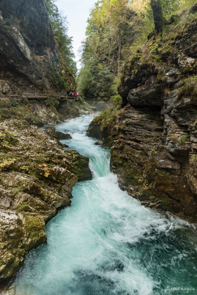 gorge de vintgar