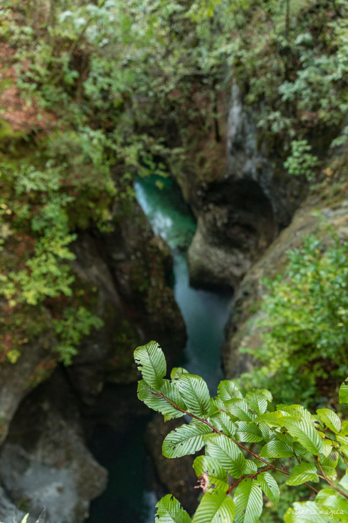 Voyage en Slovénie : Bled, Bohinj, Vintgar, Velika Planina, Ljubljana. Un road trip en Slovénie pour un long week-end