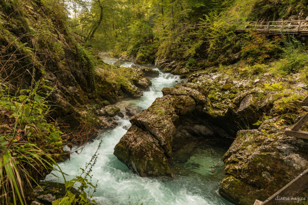 Voyage en Slovénie : Bled, Bohinj, Vintgar, Velika Planina, Ljubljana. Un road trip en Slovénie pour un long week-end