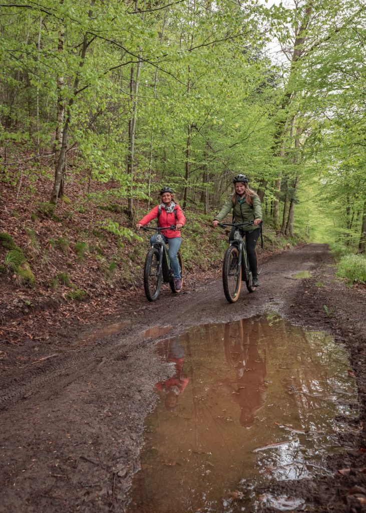 Que faire en Ardenne belge ? Randonnées à pied, à cheval et en VTT dans la grande forêt de Saint Hubert, visites et idées pour s'oxygéner.