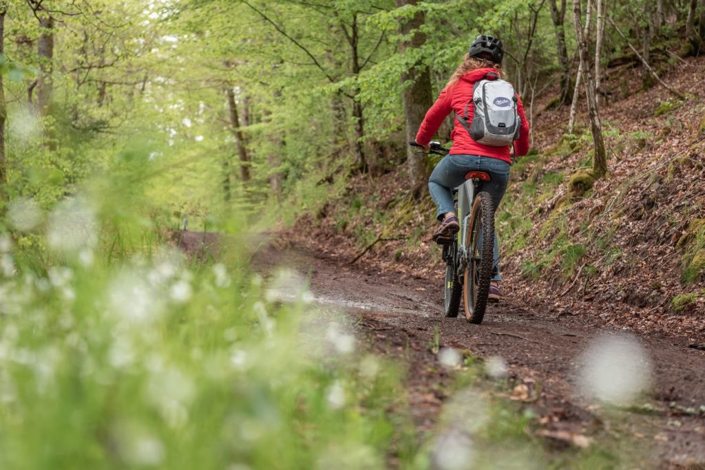 Que faire en Ardenne belge ? Randonnées à pied, à cheval et en VTT dans la grande forêt de Saint Hubert, visites et idées pour s'oxygéner.