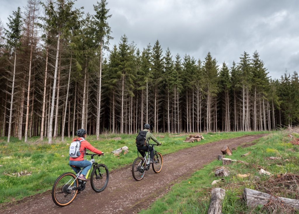 Que faire en Ardenne belge ? Randonnées à pied, à cheval et en VTT dans la grande forêt de Saint Hubert, visites et idées pour s'oxygéner.