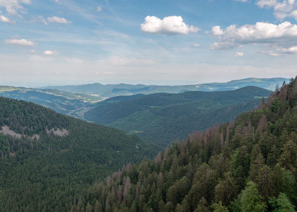 vtt hautes vosges