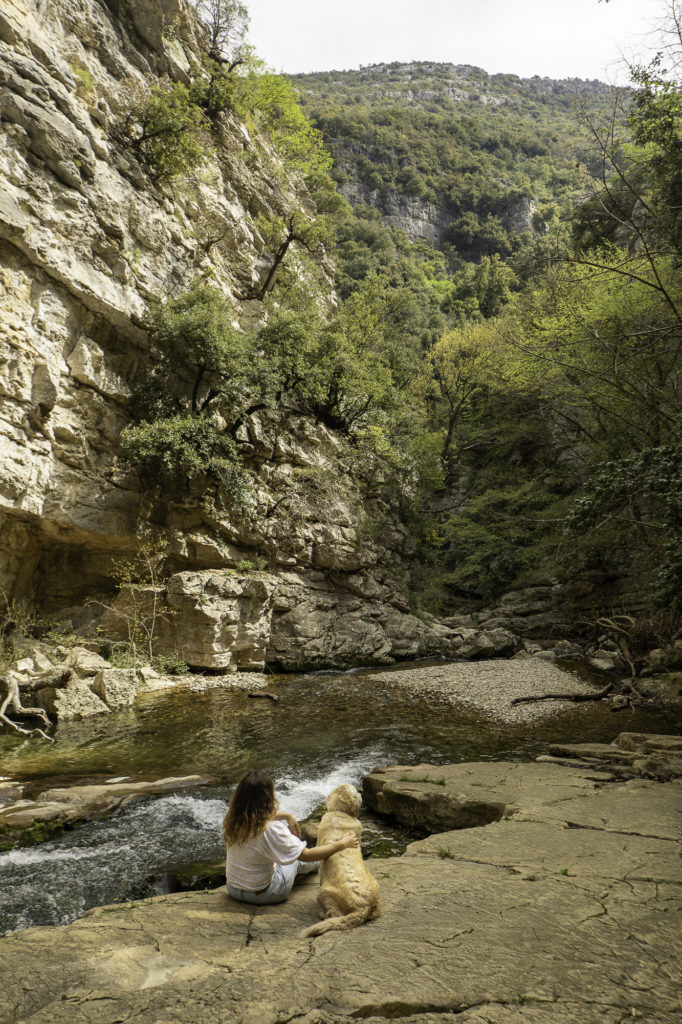 Cascade du Riou à Vence : une superbe randonnée de printemps avec mon chien dans les Alpes maritimes