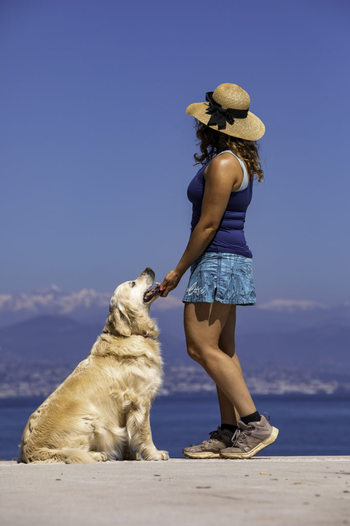 Tour du cap d'Antibes : randonnée sur le sentier du littoral avec une vue incroyable sur le Mercantour 
