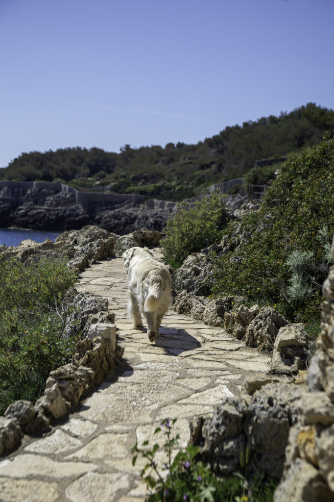 Tour du cap d'Antibes : randonnée sur le sentier du littoral avec une vue incroyable sur le Mercantour 