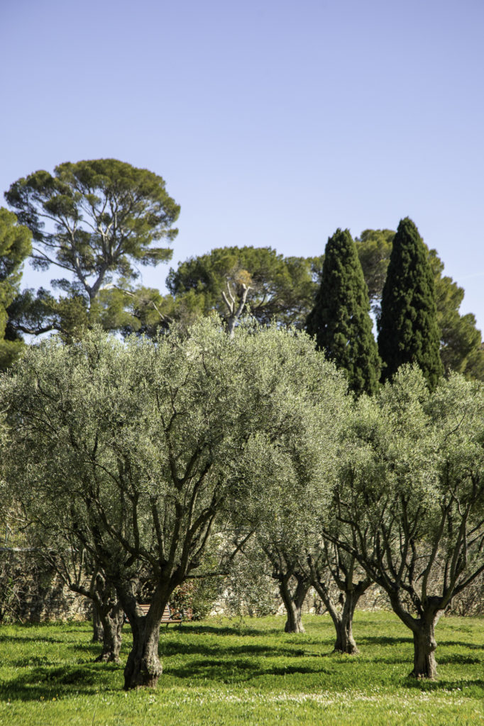 Villa Eilenroc au cap d'Antibes et son jardin secret
