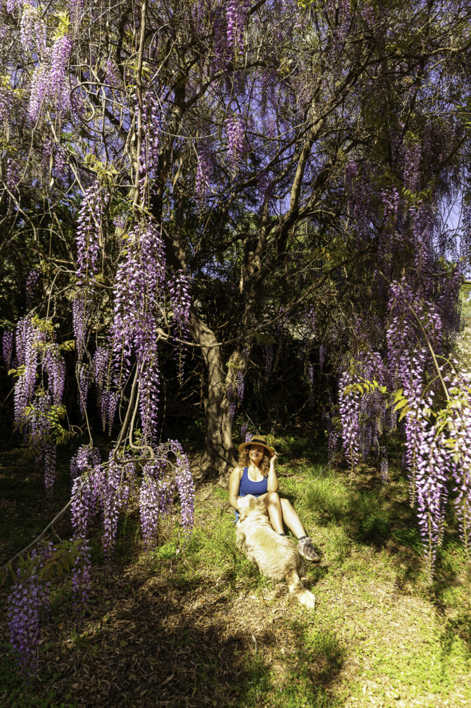 Villa Eilenroc au cap d'Antibes et son jardin secret