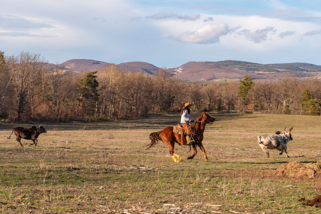 holydayranch